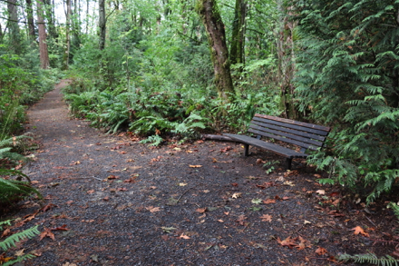 Bench along natural surface Wildwood Trail Bench along natural surface Wildwood Trail
